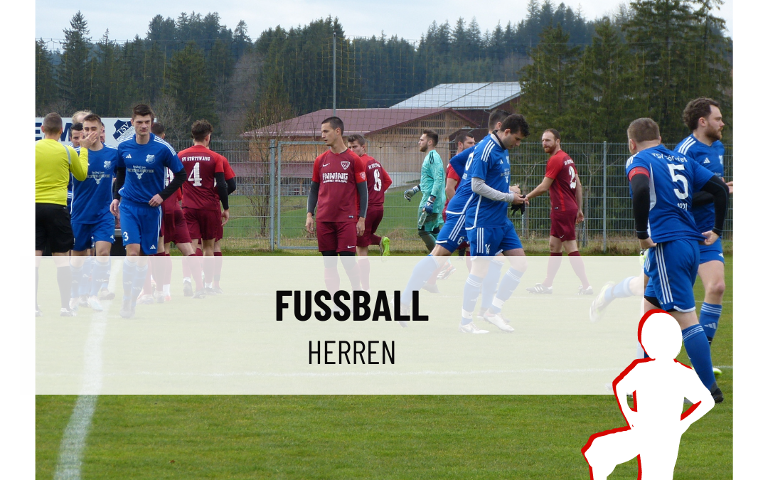 Spielbericht Fussball Herren