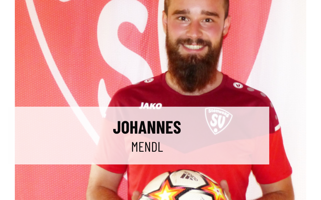 Mendl Johannes