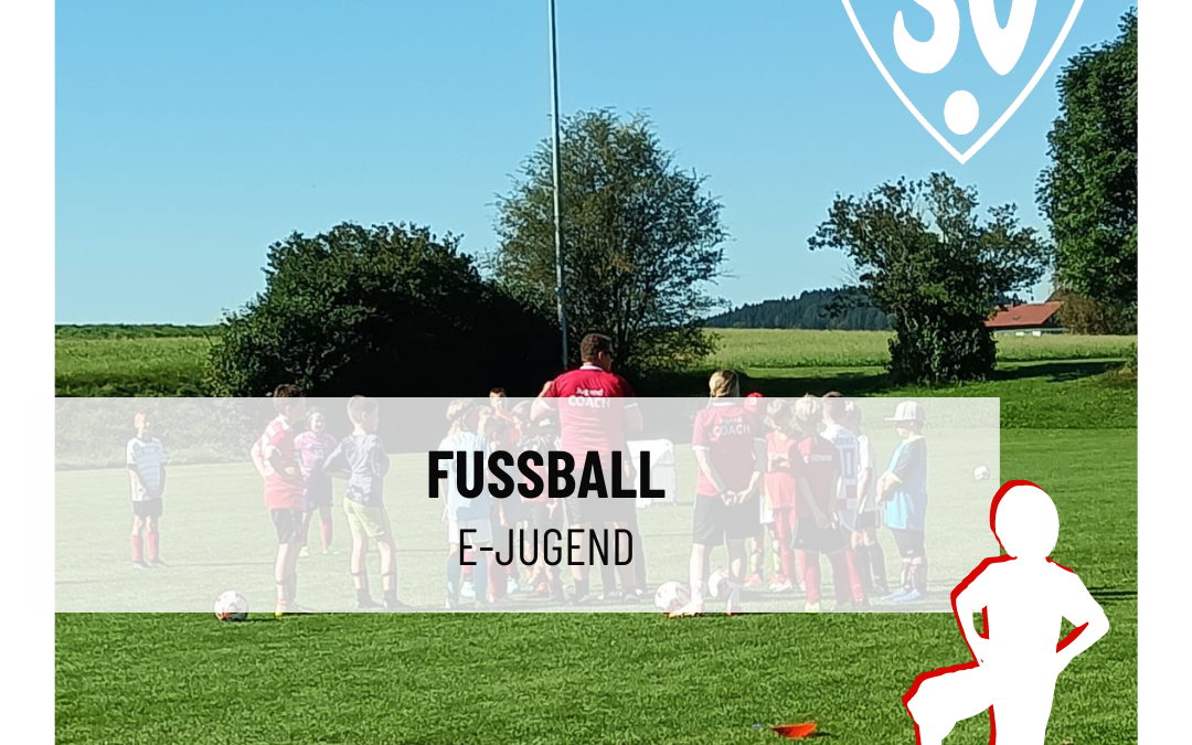 Fussball E-Jugend-Vorbereitungstag 2024