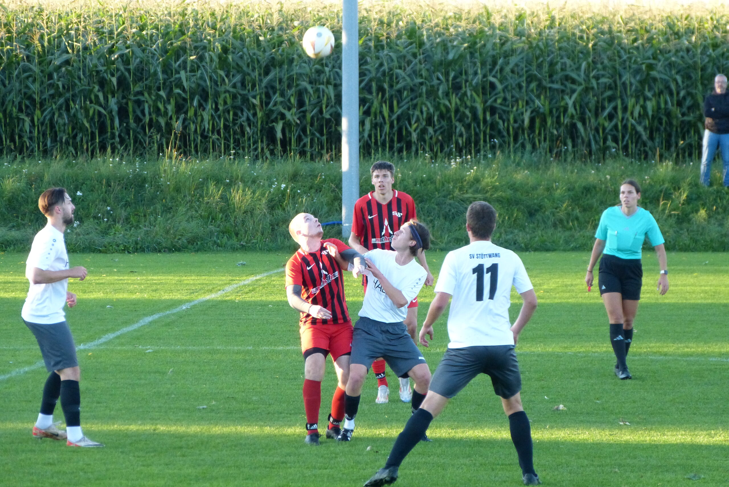 Spielbericht Fussball Herren