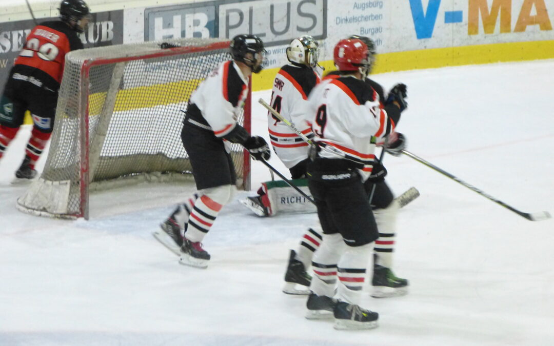 Spielbericht Ice Cubes