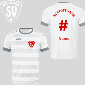 JAKO Trikot D-Jugend weiß oder rot